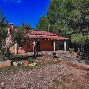 casa-del-lobo (11)